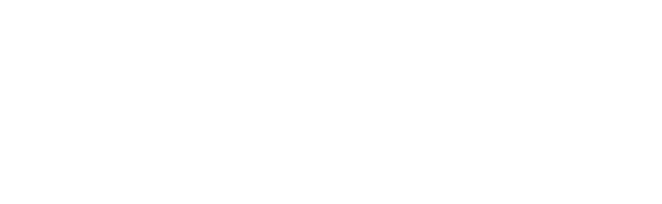 Relens